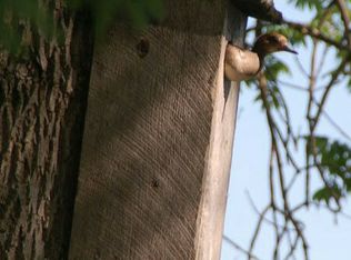 14274 Baywater Rd, Paynesville, MN 56362