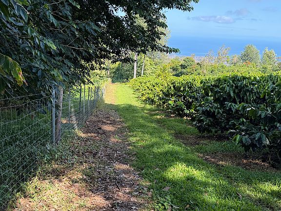 4th image of 73-4245 Hawaii Belt Rd