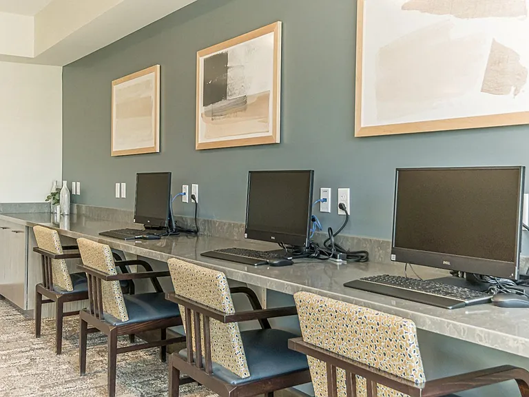 Preserve at Peachtree Shoals 55+ Apartments — Photo 26