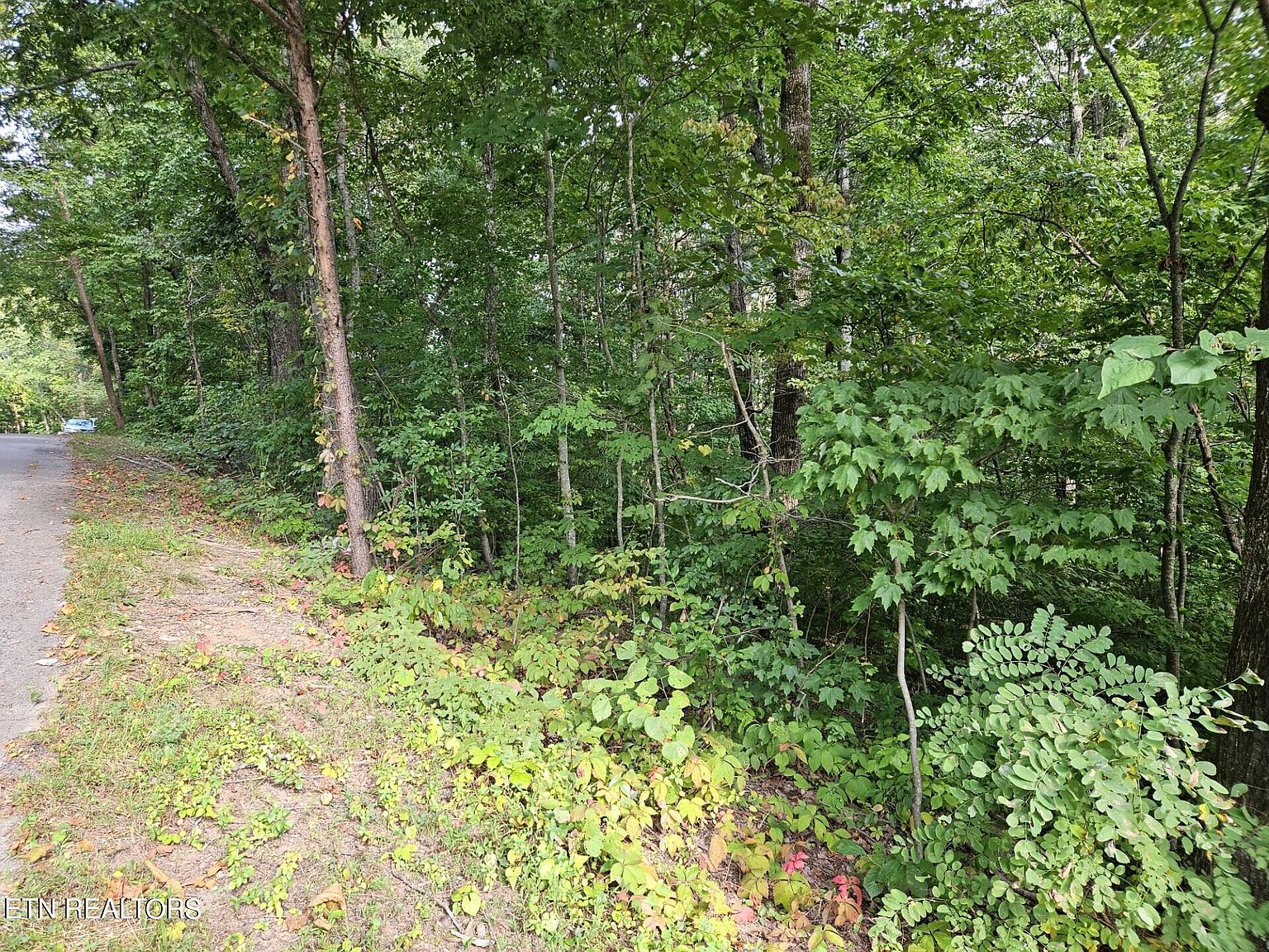 Dogwood Ln 57, Maynardville, TN 37807 MLS 1240534 Zillow