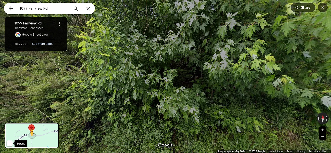 3 bed, 1000 sqft, $1,495 — Photo 2