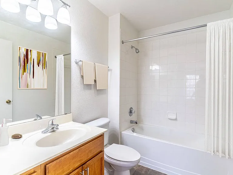 Bathroom with Tub Shower Combo