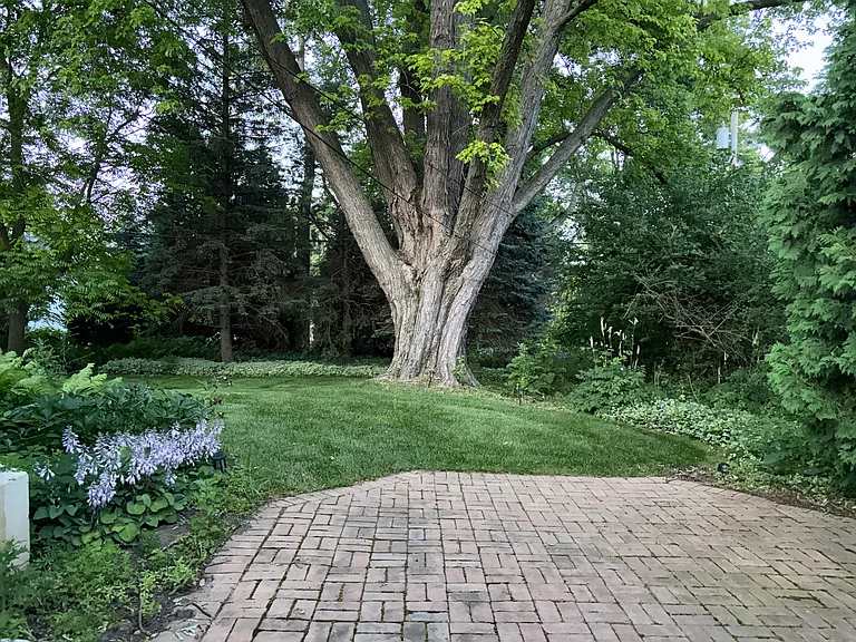 Patio and Private Backyard!