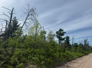 PARCEL 3 S Nelson Rd, Idlewild, MI 49642