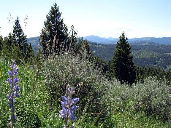 5th image of Tract 10 Rocky Mountain Mdws