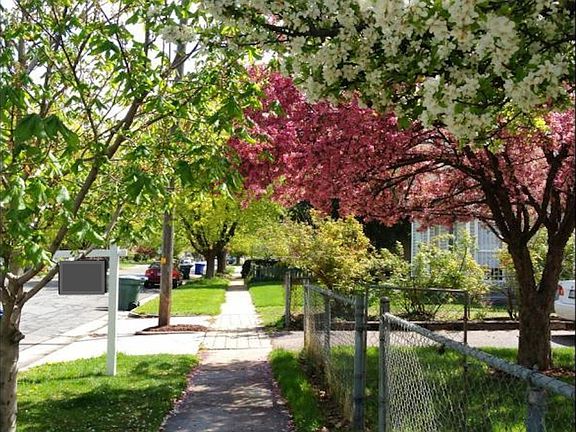 3rd image of 358 E Kensington Ave