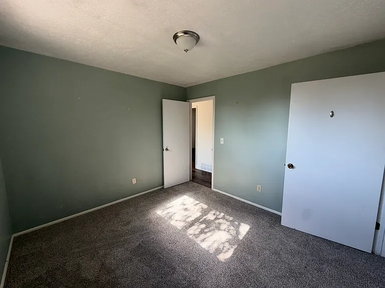 10680 S Carrington St — Photo 10