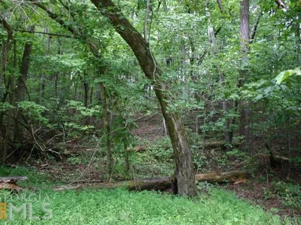 112 Holly Hills Rd, Cleveland, GA 30528