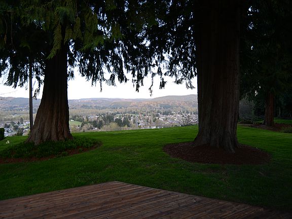 view from backyard