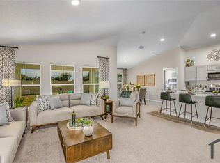 13124 Zolo Springs Cir, Riverview, FL 33579