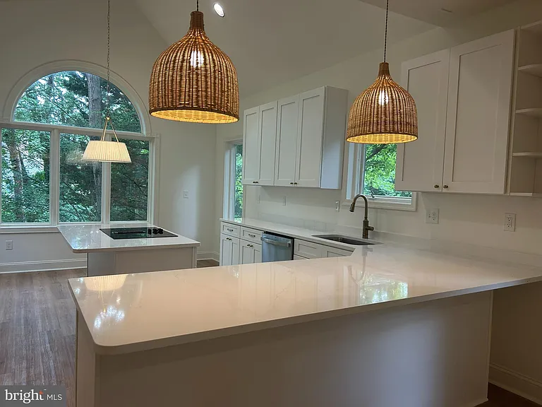 221 Spring Race Ct — Photo 10