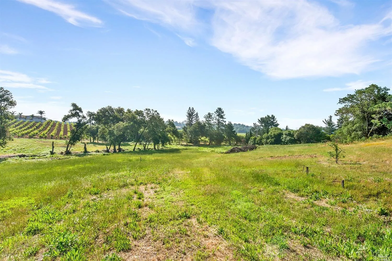 1100 Lytton Springs Road - Photo 3