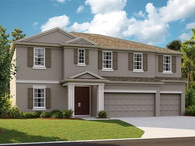 6027 Golden Nettle Dr, Apollo Beach, FL, 33572