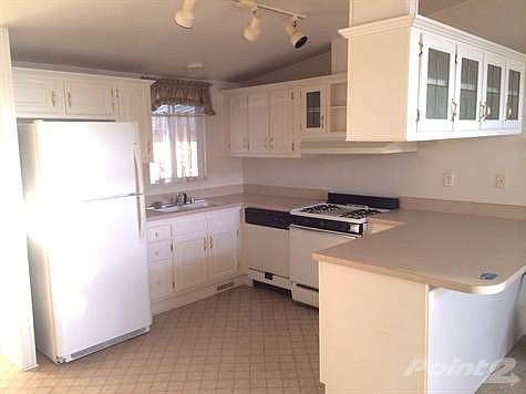 Photo Dec 31, 3 59 17 PM