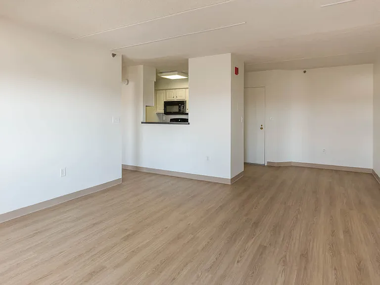 Living Room with Hard Surface Flooring