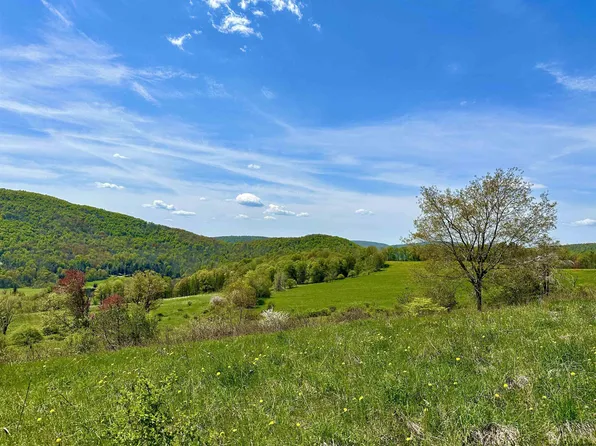0 Reinertsen Road, Bovina, NY 13740