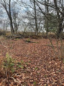 0 Big Bend Rd, Emlenton, PA, 16373