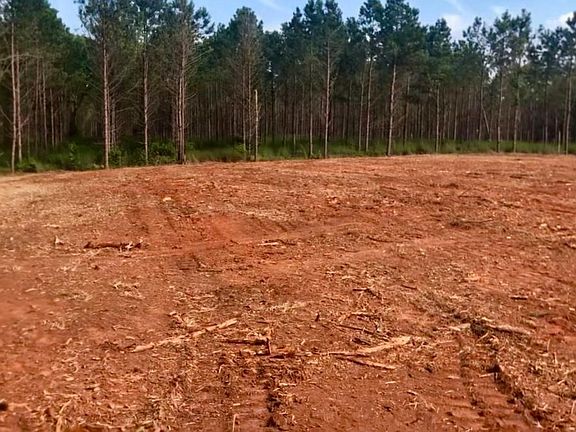 3rd image of 0 Sanford Rd