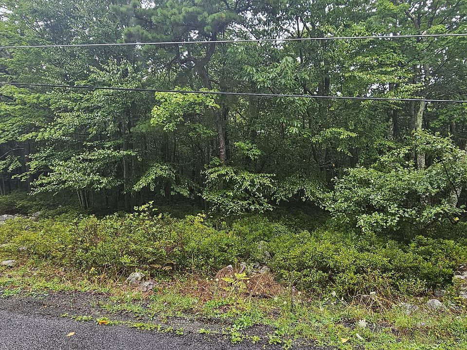 2nd image of A132 Hickory Dr