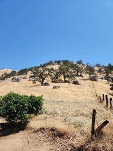 0 Avenue 176, Springville, CA, 93265