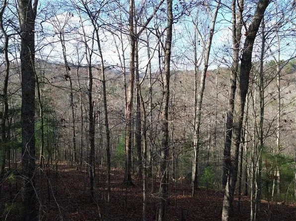 865 Bolster Ln NE #865, Ranger, GA 30734