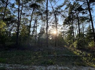 SE 145th Ct LOT 4, Williston, FL 32696