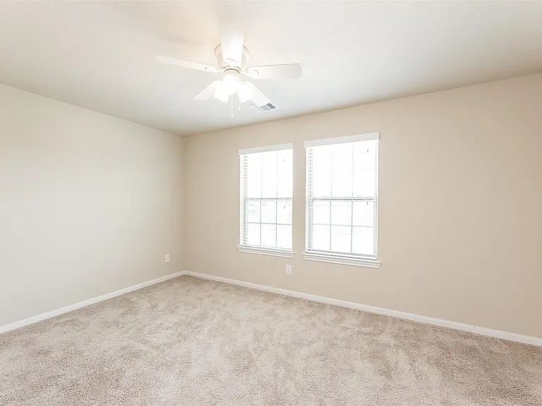 16915 Sedum Grn — Photo 22