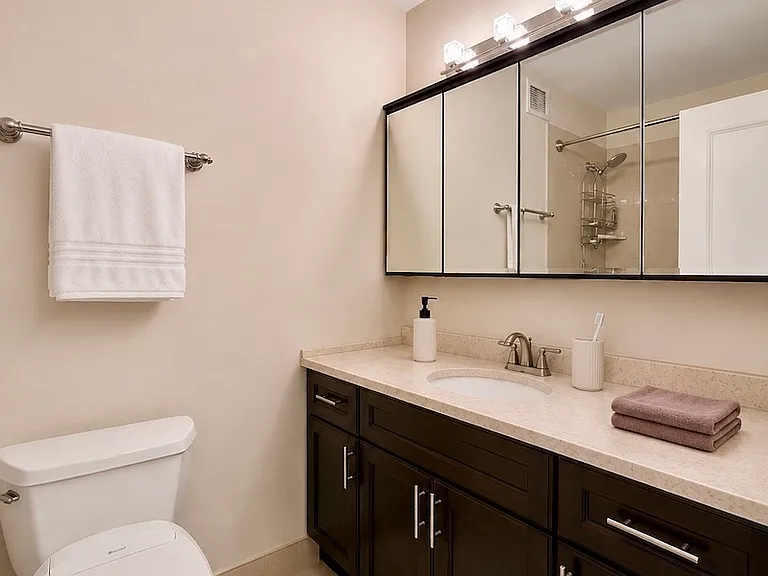 200 N Dearborn St #1205 — Photo 16
