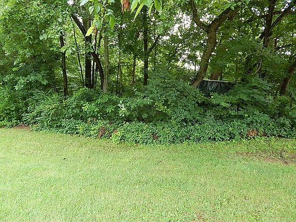 4th image of 353 Welchwood Dr