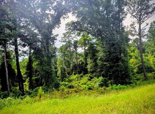 0 County Road 99, Newville, AL 36353