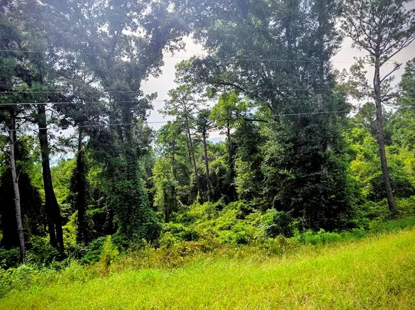 0 County Road 99, Newville, AL 36353