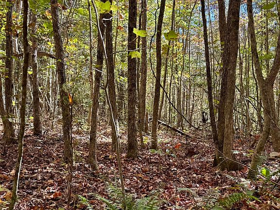5th image of 0 Owl Hollow Rd Lot 8