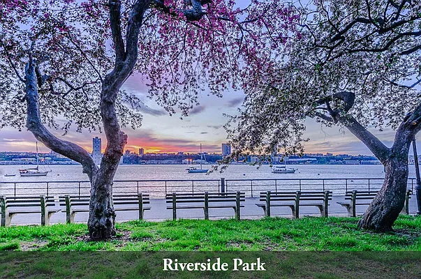 Rented by WAM Partners - William Moses Co. | media 48