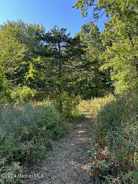 3rd image of Lot 4 Wagner Road