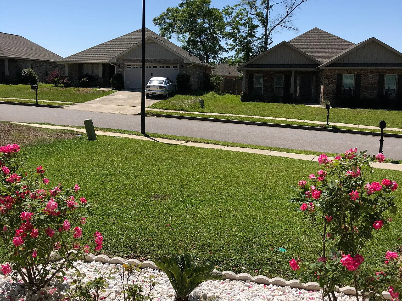 3 bed, 2.0 bath, 1780 sqft, $2,900 — Photo 3