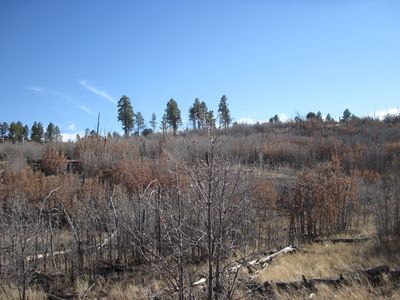 11 Sherwood Forest Dr, Torreon, NM, 87061
