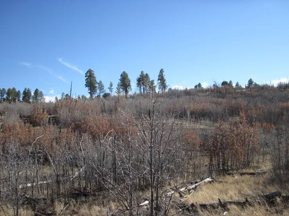 11 Sherwood Forest Dr, Torreon, NM 87061