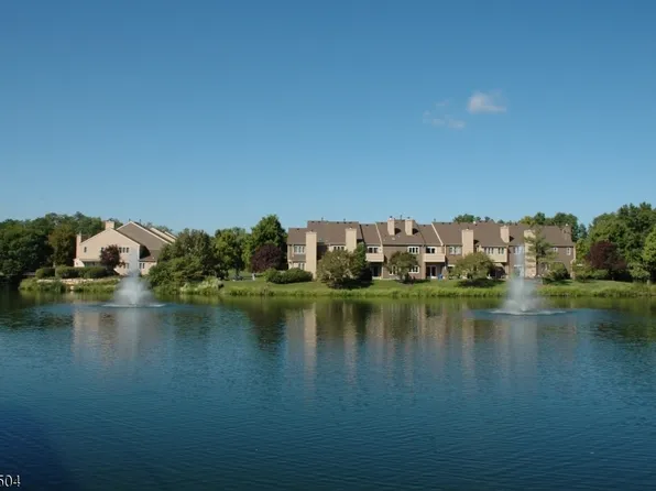 20 Bedford Ct, Madison Boro, NJ 07940