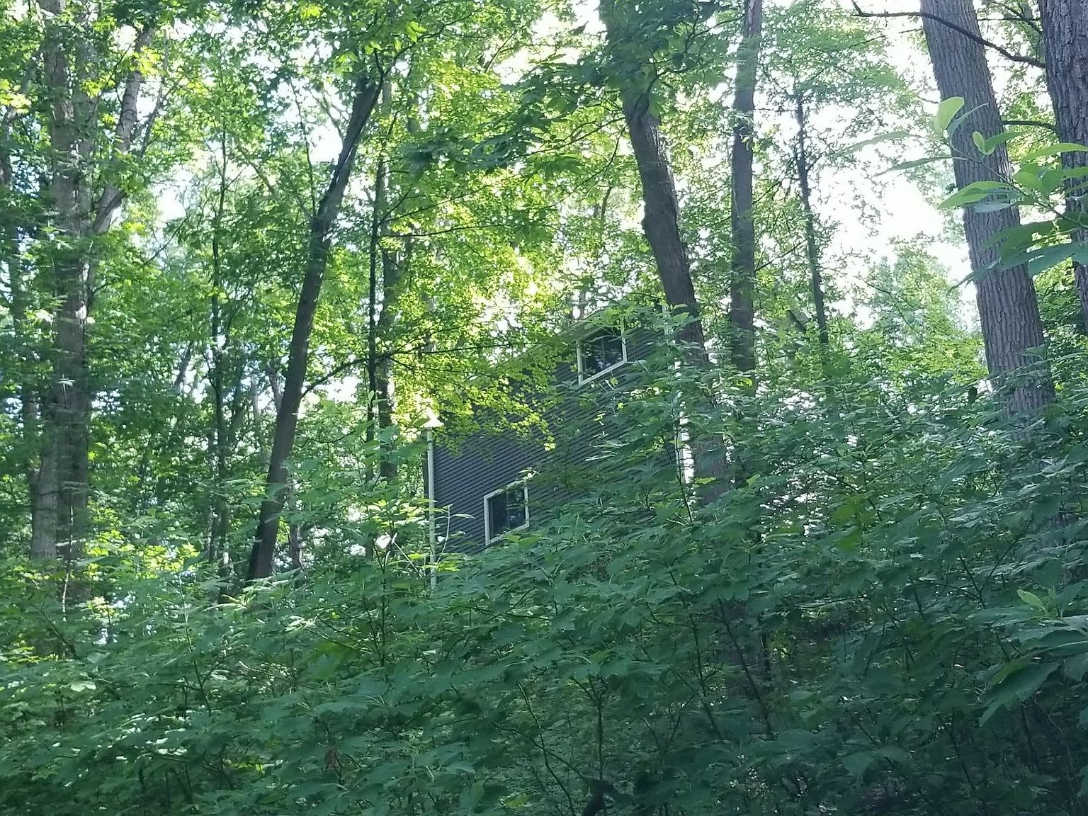 7809 Winans Lake Rd, Brighton, MI 48116 Zillow