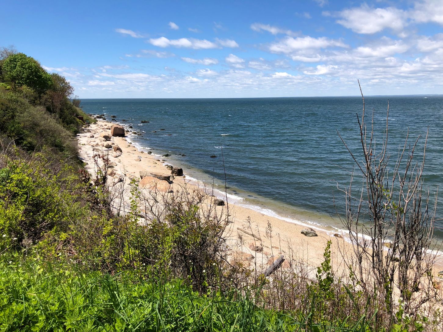  This could be your neighborhood