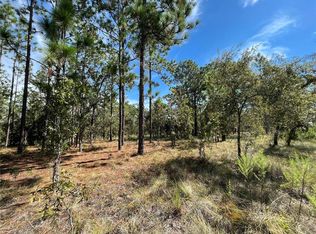 NW Amberjack Ave LOT 24, Dunnellon, FL 34431