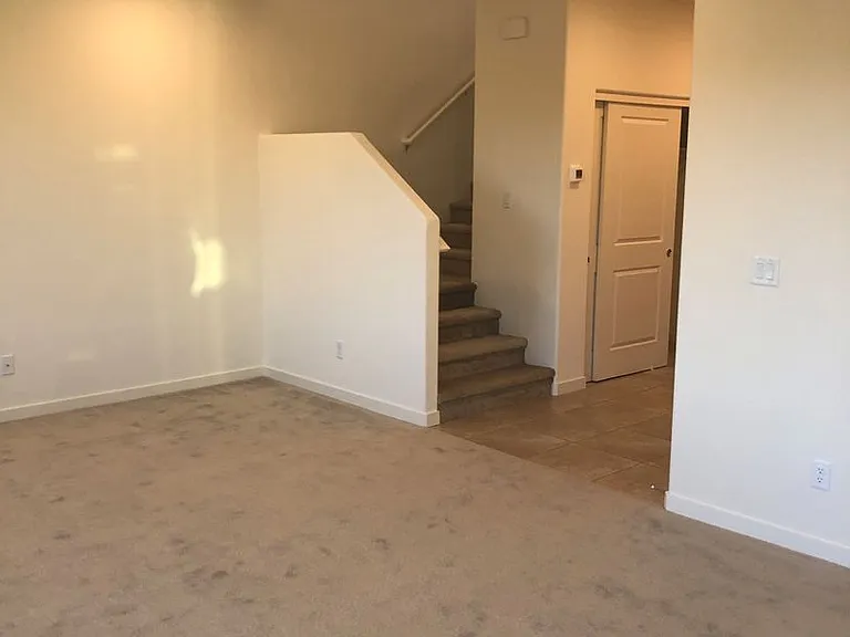 4771 Black Falcon Way — Photo 7