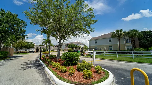 Palmetto Trace Apartments Photo 1