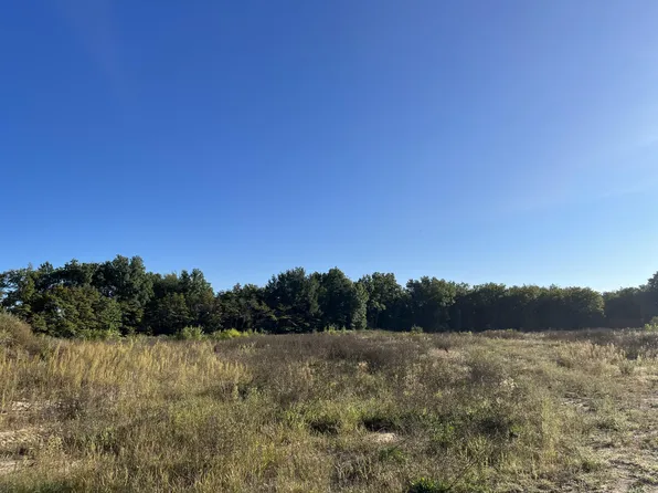 13951 Stanton St, West Olive, MI 49460