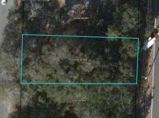 0 Jones Bridge Rd, Blackville, SC 29817