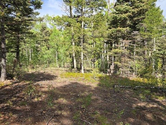 2nd image of 5878 Loubier Road LOT 5878