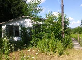 651 Candor Rd, Spencer, NY 14883