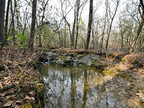 4th image of Polk Rd #95