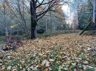 19816 Meadow Lake Rd, Snohomish, WA 98290