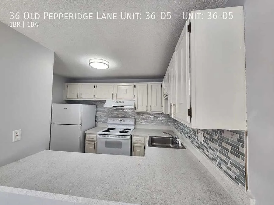 1 bed, 700 sqft, $1,650 — Photo 4